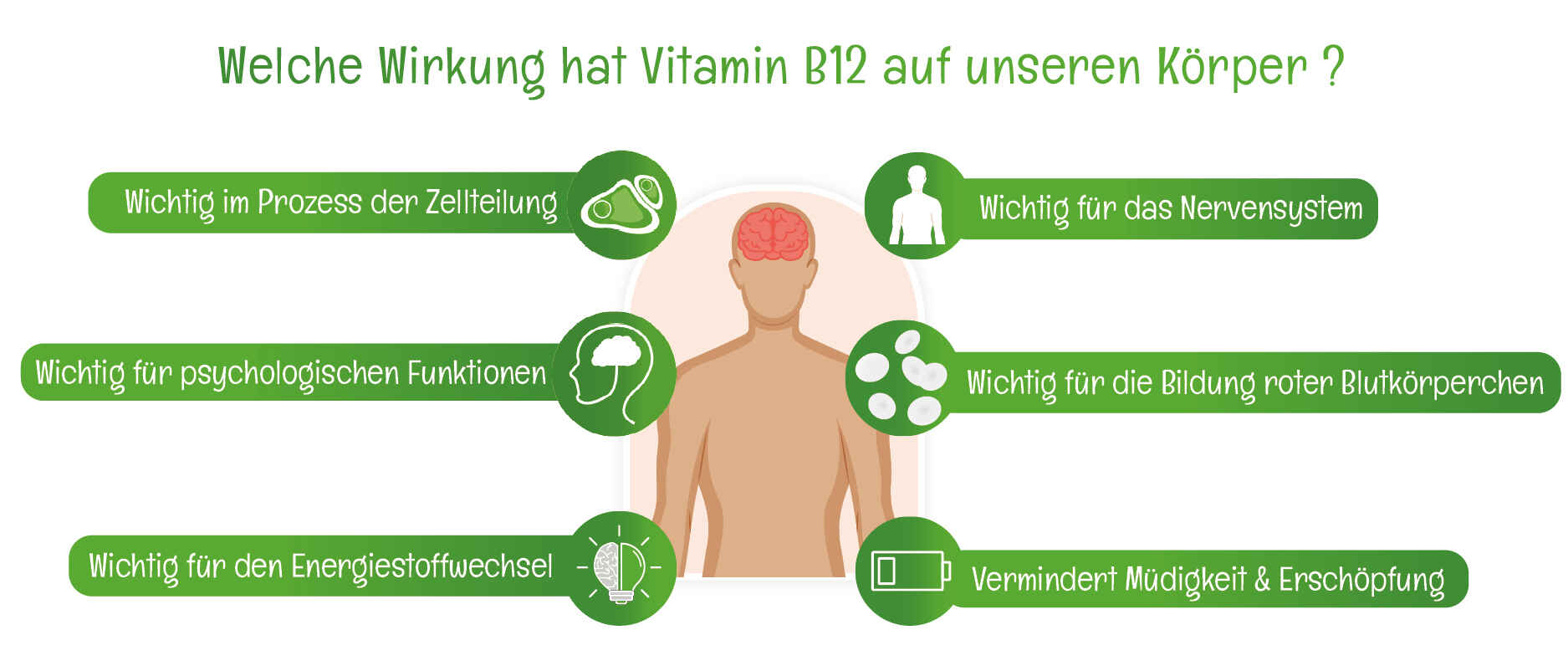 Wirkung Vitamin B12 auf unseren Koerper