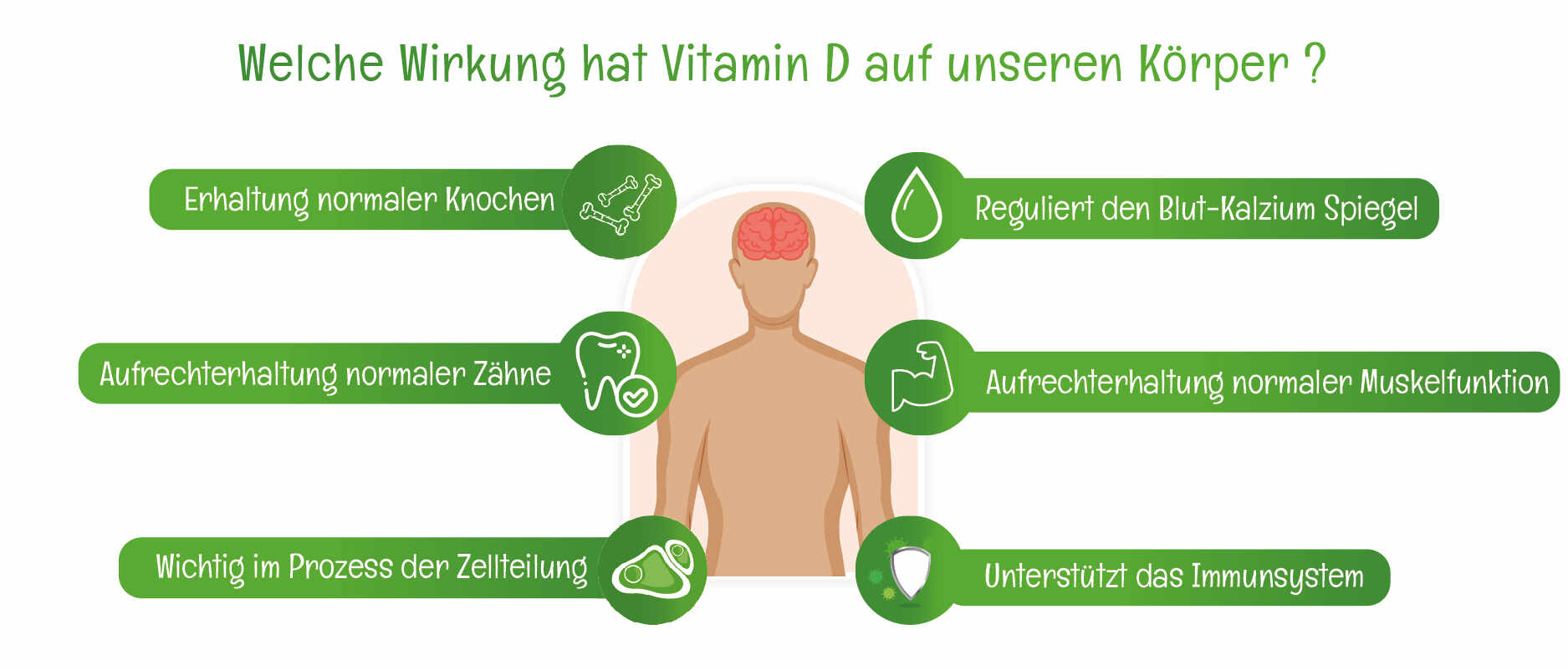 Wirkung Vitamin D auf unseren Koerper Infografik